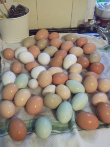 Preparing Eggs