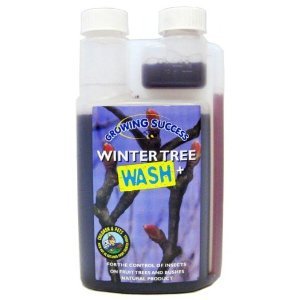 Winter Tree Wash